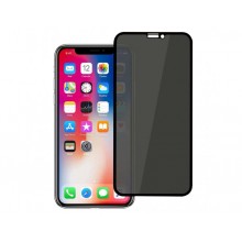 iPhone 12 / 12 Pro Hayalet Privacy Gizli Cam Ekran Koruyucu 